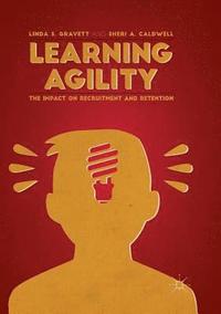 bokomslag Learning Agility