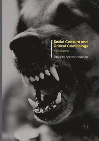 bokomslag Social Censure and Critical Criminology