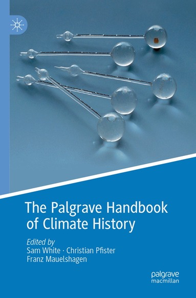 Sam White, Christian Pfister, Franz Mauelshagen - Palgrave Handbook of Climate History, Häftad