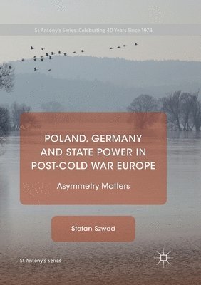 bokomslag Poland, Germany and State Power in Post-Cold War Europe