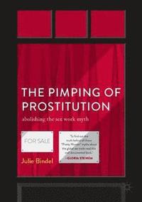 bokomslag The Pimping of Prostitution