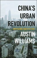 bokomslag China's Urban Revolution