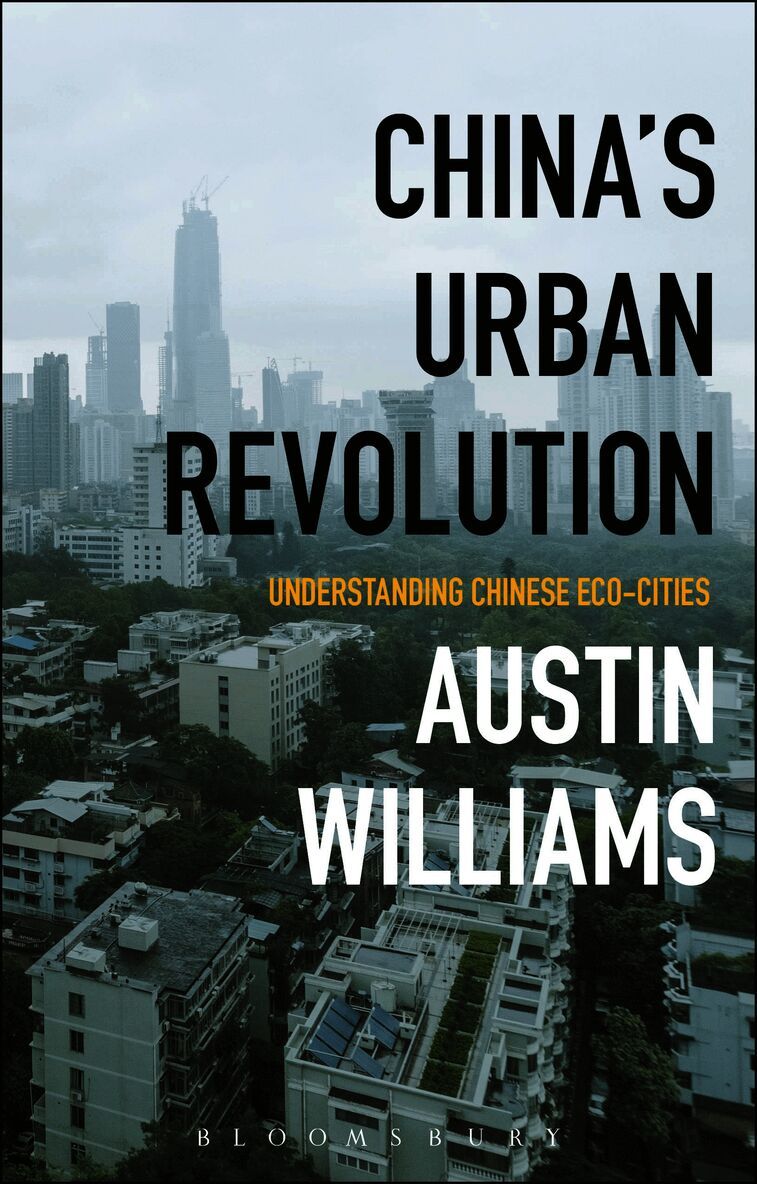 China’s Urban Revolution