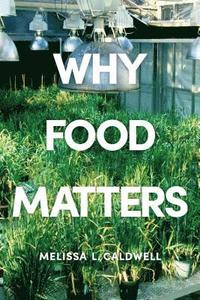 bokomslag Why Food Matters