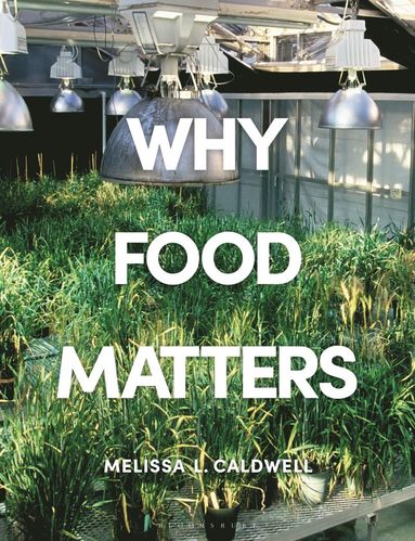 bokomslag Why Food Matters