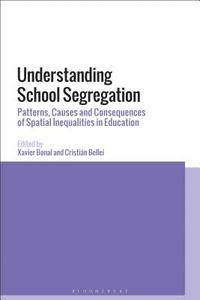 bokomslag Understanding School Segregation