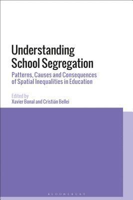 bokomslag Understanding School Segregation