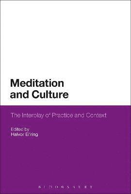 Meditation and Culture 1