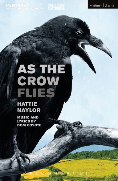 Hattie Naylor - As the Crow Flies, Häftad