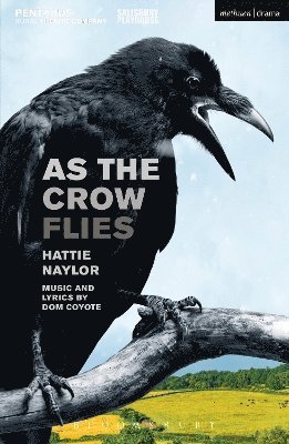 As the Crow Flies 1