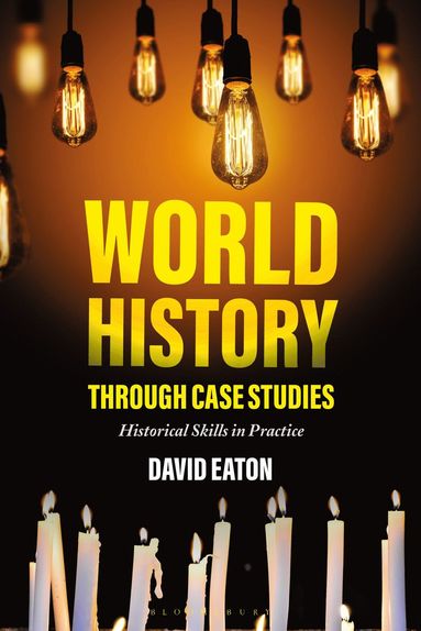 bokomslag World History through Case Studies