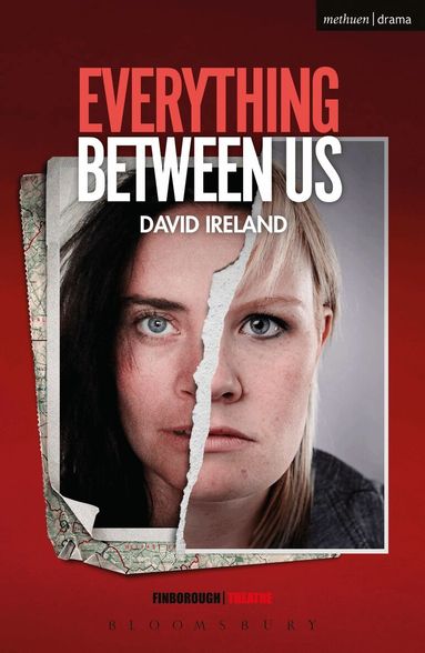 David Ireland - Everything Between Us, Häftad