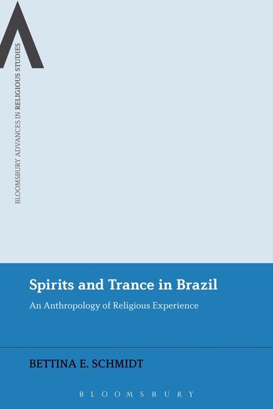 Bettina E. Schmidt, Bettina E. Schmidt - Spirits and Trance in Brazil, Häftad