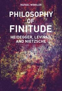 bokomslag Philosophy of Finitude