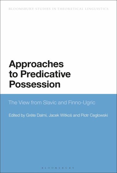 Gréte Dalmi, Jacek Witkos, Piotr Ceglowski - Approaches to Predicative Possession, Inbunden