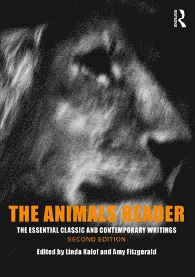 The Animals Reader 1