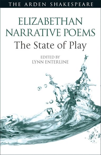 bokomslag Elizabethan Narrative Poems: The State of Play