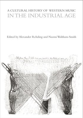 Alexander Rehding, Naomi Waltham-Smith, Naomi (Associate Professor of Music) Waltham-Smith - Cultural History of Western Music in the Industrial Age, Inbunden