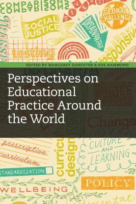 bokomslag Perspectives on Educational Practice Around the World