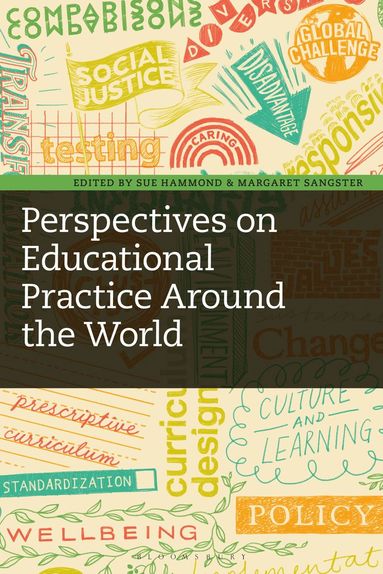 bokomslag Perspectives on Educational Practice Around the World