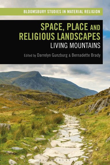 Darrelyn Gunzburg, Bernadette Brady - Space, Place and Religious Landscapes, Inbunden