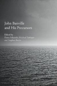 bokomslag John Banville and His Precursors