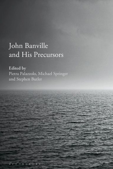 Pietra Palazzolo, Michael Springer, Stephen Butler - John Banville and His Precursors, Inbunden