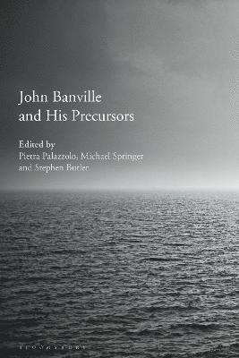 John Banville and His Precursors 1