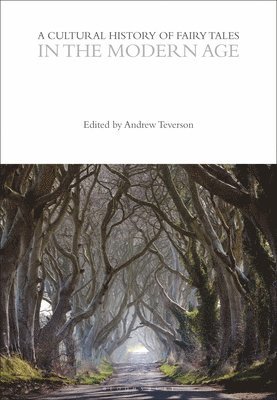 bokomslag Cultural History of Fairy Tales in the Modern Age