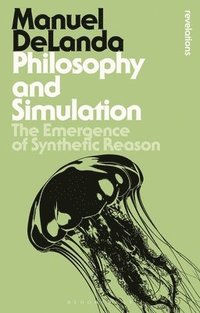 bokomslag Philosophy and Simulation