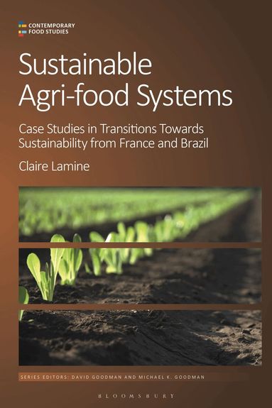 Claire Lamine, Michael K. Goodman - Sustainable Agri-food Systems, Inbunden