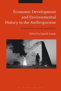 bokomslag Economic Development and Environmental History in the Anthropocene