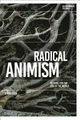 bokomslag Radical Animism