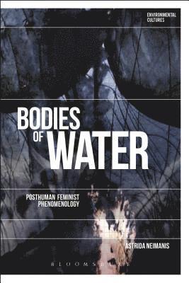 Bodies of Water 1