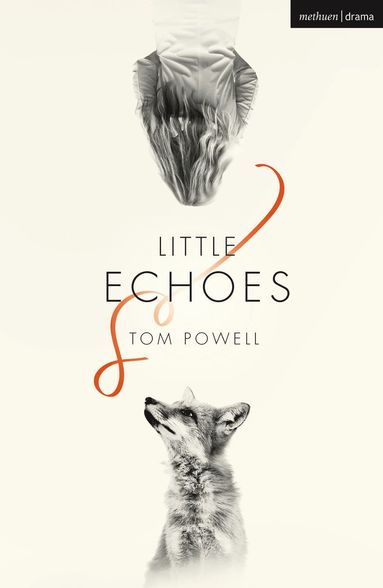 bokomslag Little Echoes