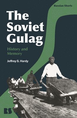 Jeffrey S. Hardy, Eugene M. Avrutin - Soviet Gulag, Inbunden