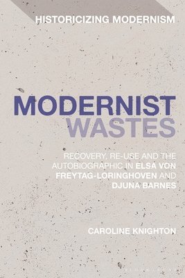 bokomslag Modernist Wastes
