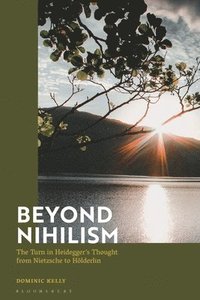 bokomslag Beyond Nihilism