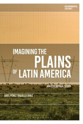 bokomslag Imagining the Plains of Latin America