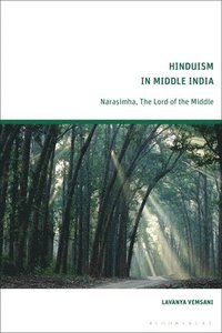 bokomslag Hinduism in Middle India