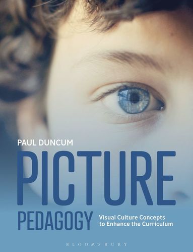 bokomslag Picture Pedagogy