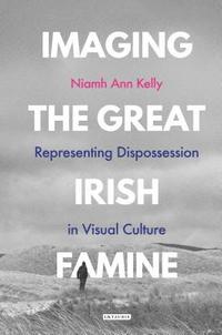 bokomslag Imaging the Great Irish Famine