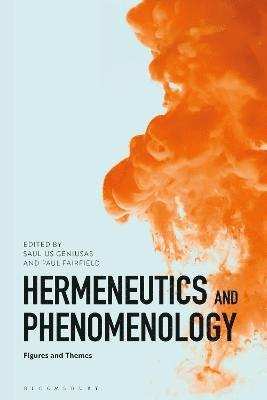 Saulius Geniusas, Paul Fairfield - Hermeneutics and Phenomenology, Häftad