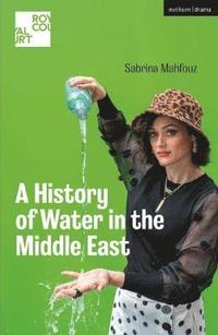 bokomslag A History of Water in the Middle East