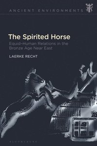 bokomslag The Spirited Horse