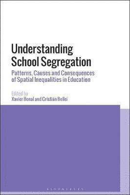 bokomslag Understanding School Segregation