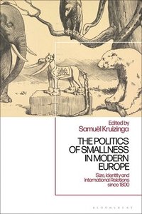 bokomslag The Politics of Smallness in Modern Europe