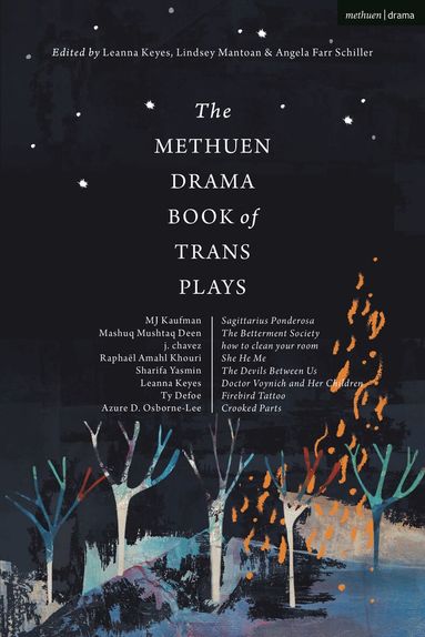 Azure D. Osborne-Lee, Ty Defoe, MJ Kaufman, Raphaël Amahl Khouri, J. Chavez, Sharifa Yazmeen, Mashuq Mushtaq Deen, Leanna Keyes, Lindsey Mantoan, Angela Farr Schiller - Methuen Drama Book of Trans Plays, Inbunden