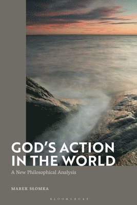 bokomslag God's Action in the World