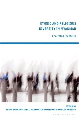 bokomslag Ethnic and Religious Diversity in Myanmar